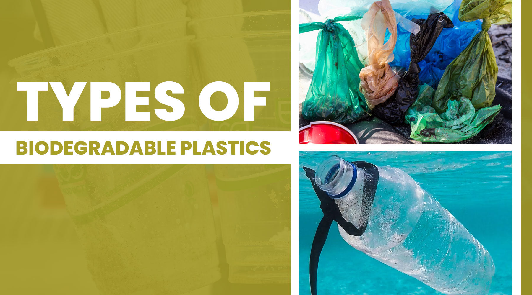 A Guide to the Different Types of Biodegradable Plastics